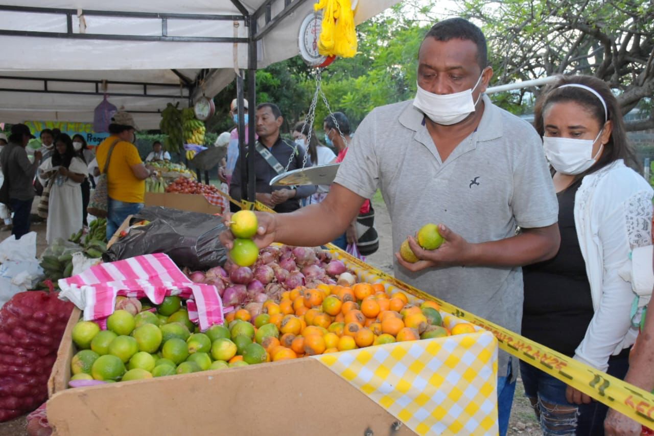 Octavo Mercado Campesino recaudó más de 32 millones de pesos en ventas