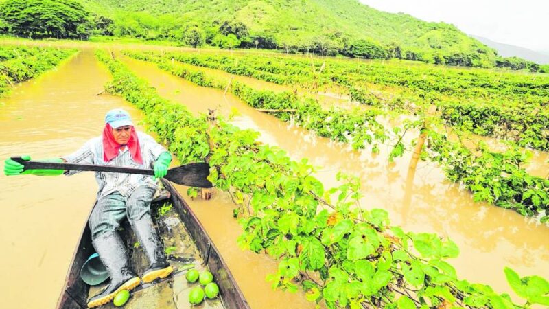 Recursos para atender productores agropecuarios afectados por ola invernal sumaron $19.685 millones con corte al 31 de diciembre de 2022