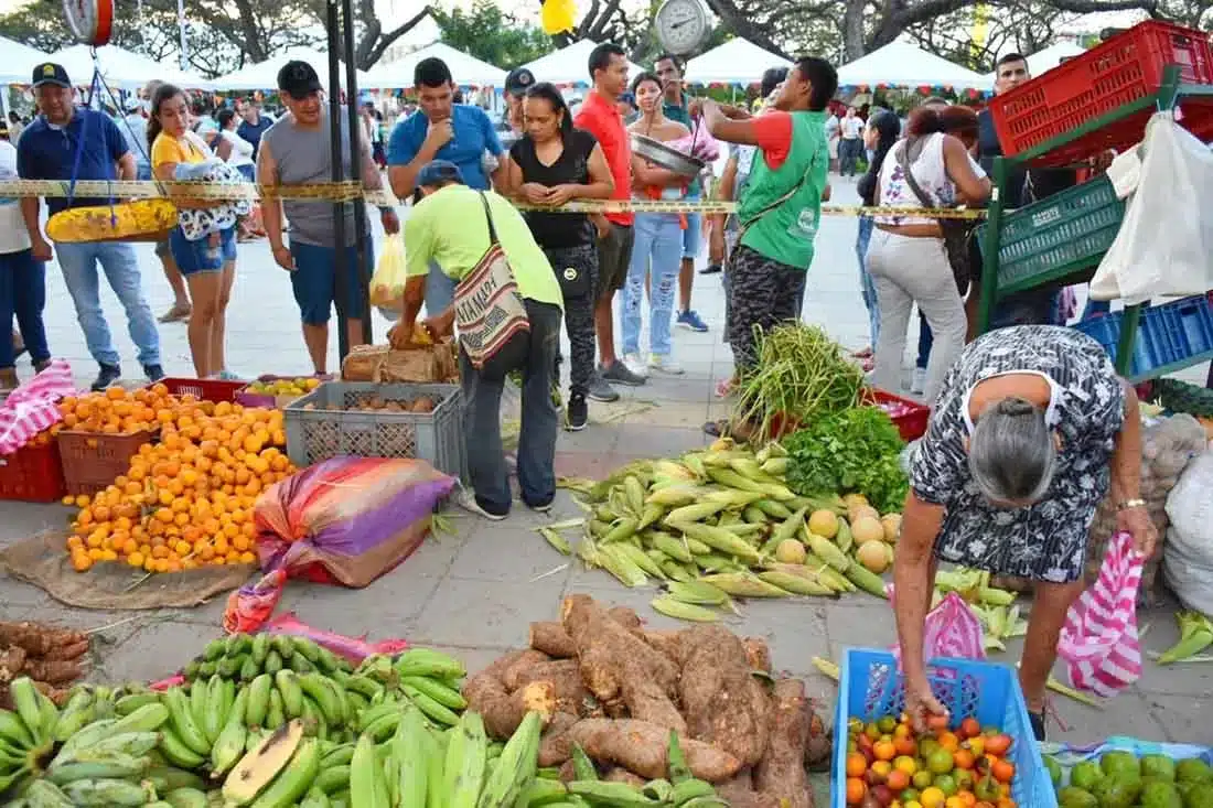 Primer Mercado Campesino del 2023 dejó ventas de más de $46 millones de pesos