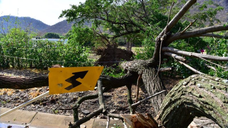 Gestión del Riesgo de Desastres Municipal evaluó afectaciones por vendaval en Las Raíces