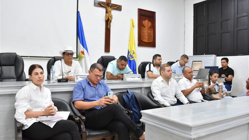 «Se requiere la creación de una comisión de alto nivel, con participación de los gremios»: Concejo