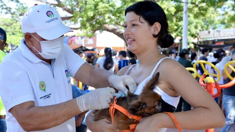 Gobierno del Cesar atendió más de 600 mascotas en la comuna cinco de Valledupar