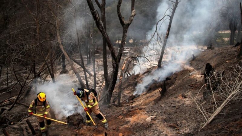 Sube a 122 el número de muertos por incendios forestales en Chile