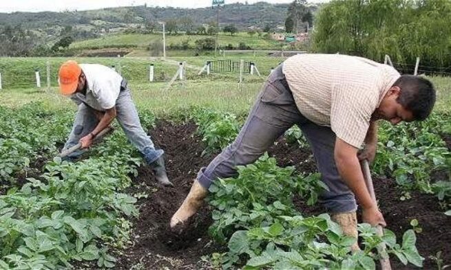 En 10 municipios del Cesar se conformarán comités de Reforma Agraria esta semana