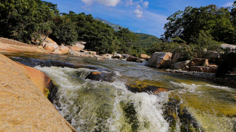 Valledupar recibe a empresarios de 14 países en el evento de turismo de naturaleza más importante del mundo