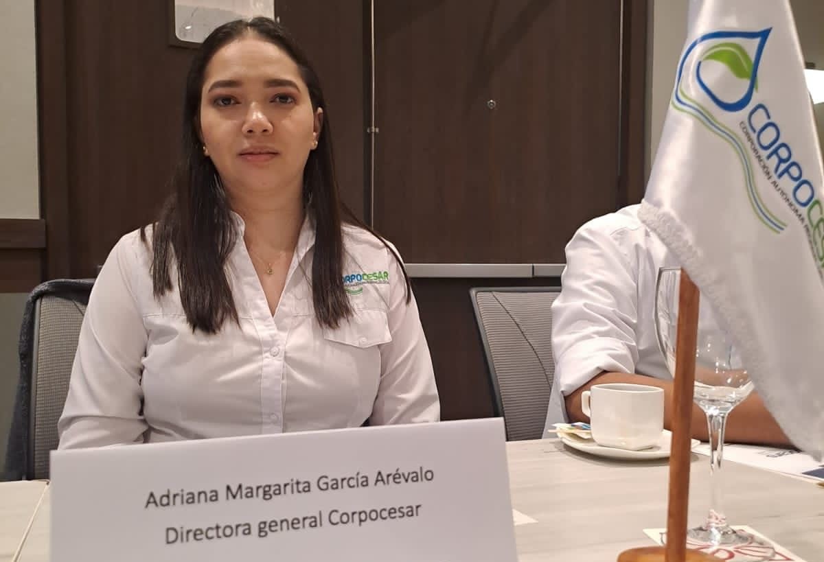 Consejo de Estado tumbó elección de la directora de Corpocesar