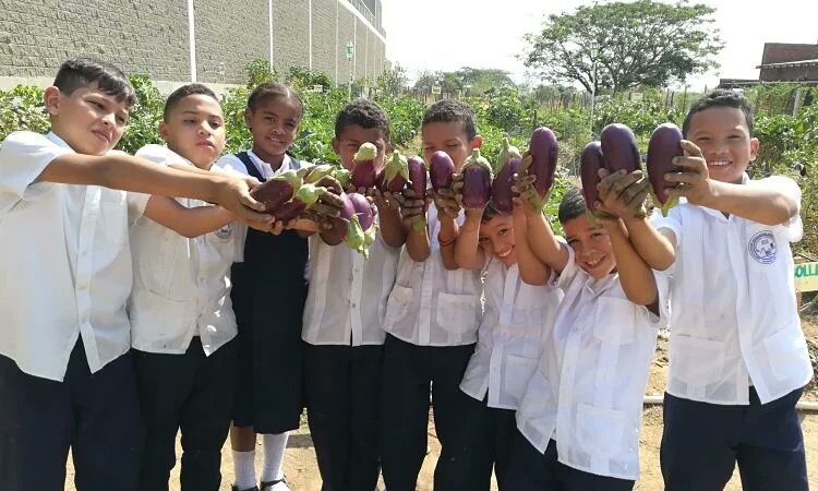 Institución Educativa Leonidas Acuña de Valledupar, estará presente en la COP16