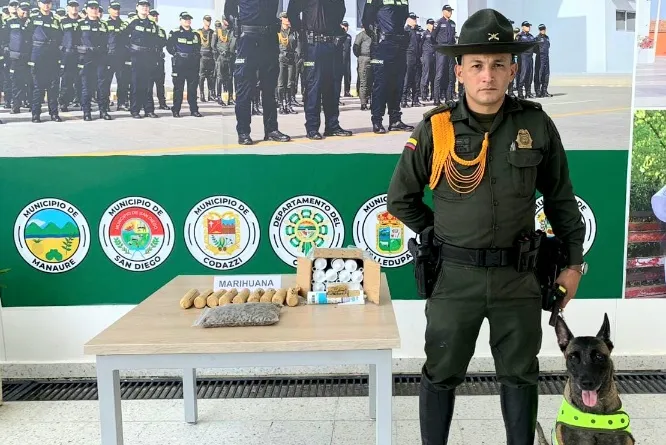 Perro Antinarcótico descubrió más de 2000 dosis de marihuana en empresa de mensajería