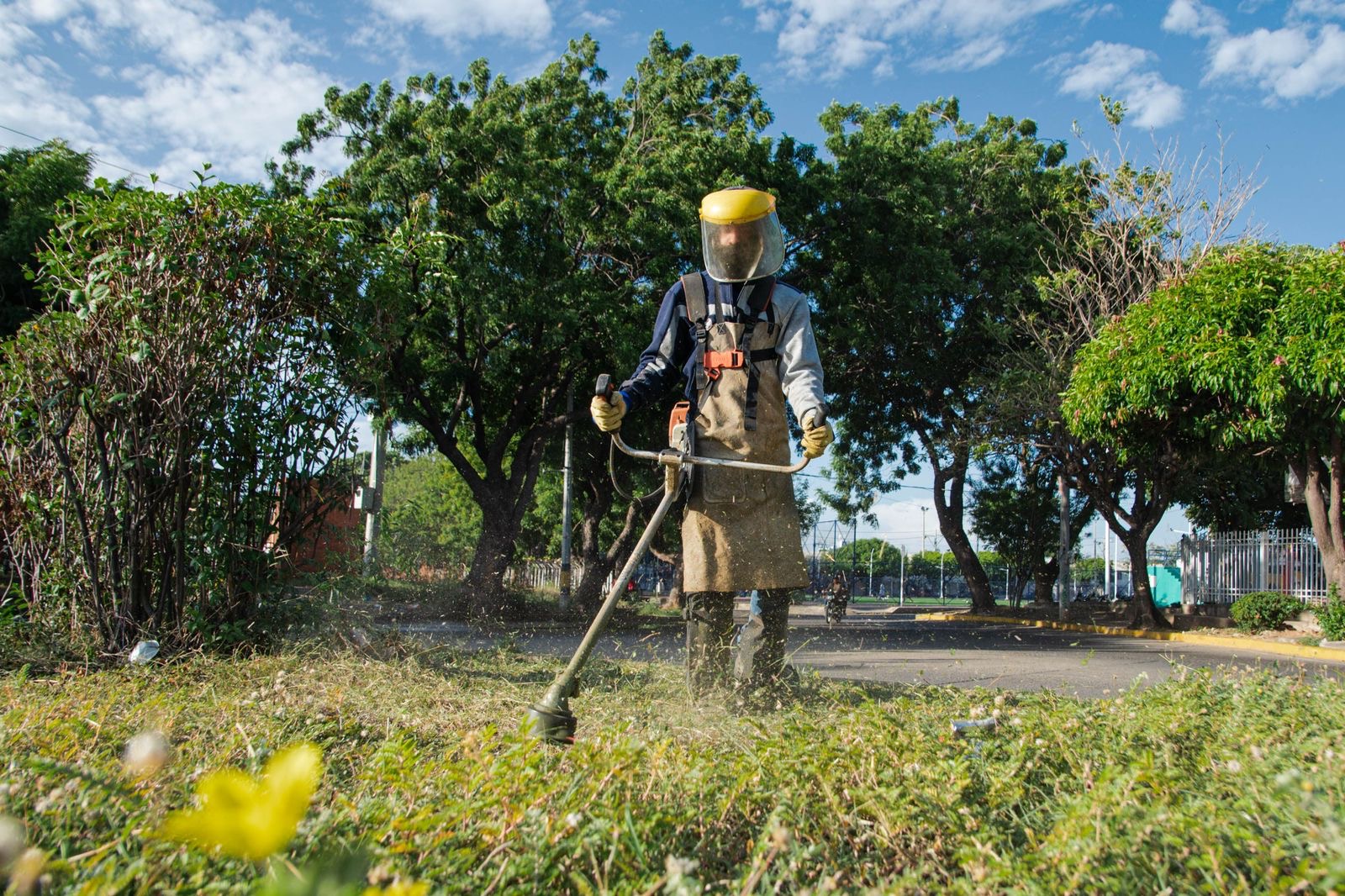 Valledupar entre las ciudades con menor tasa de desempleo en Colombia
