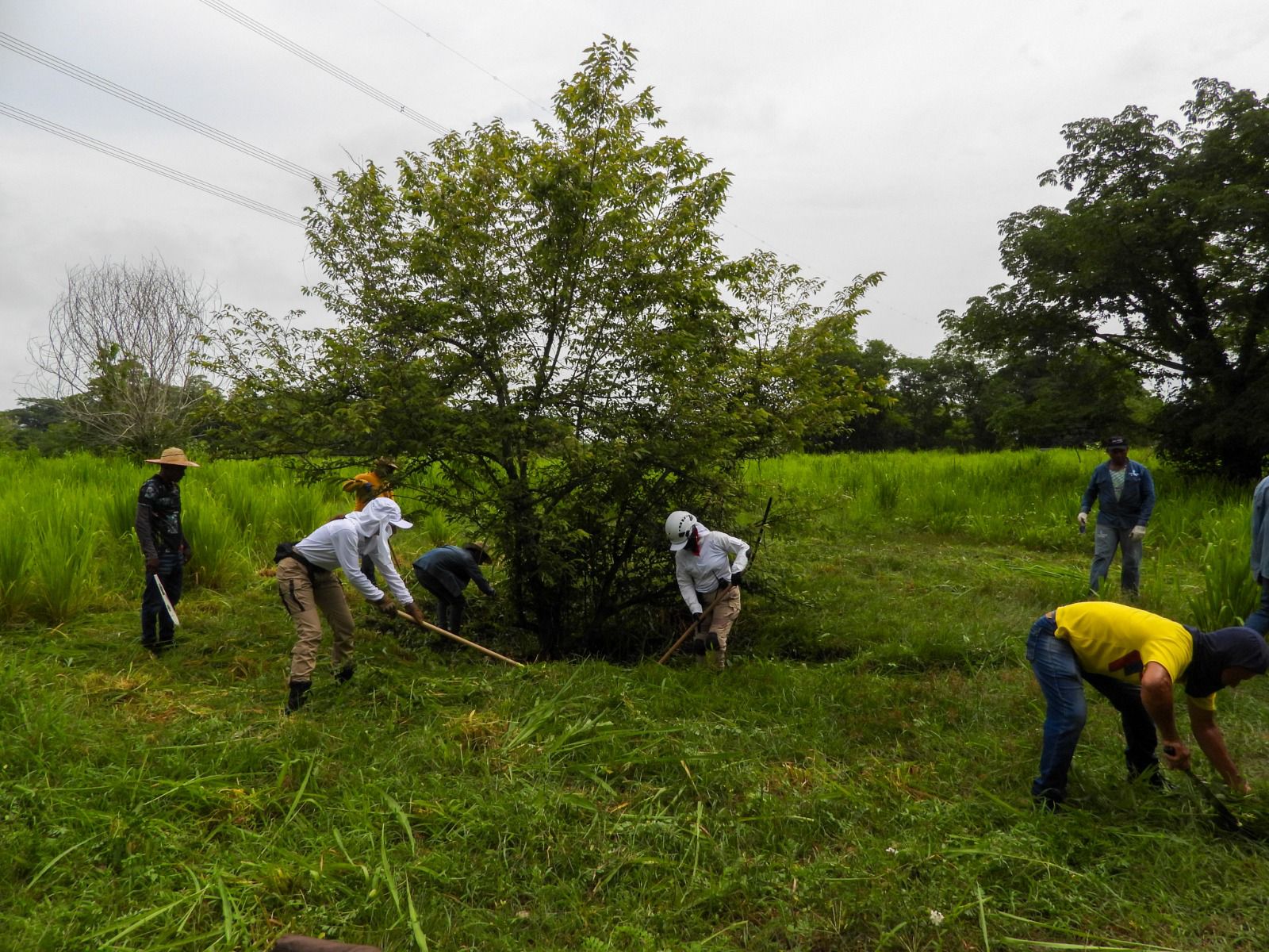 La Unidad de Búsqueda y la JEP reportan hallazgos forenses de posibles víctimas de desaparición en la hacienda Bethania, en Cesar