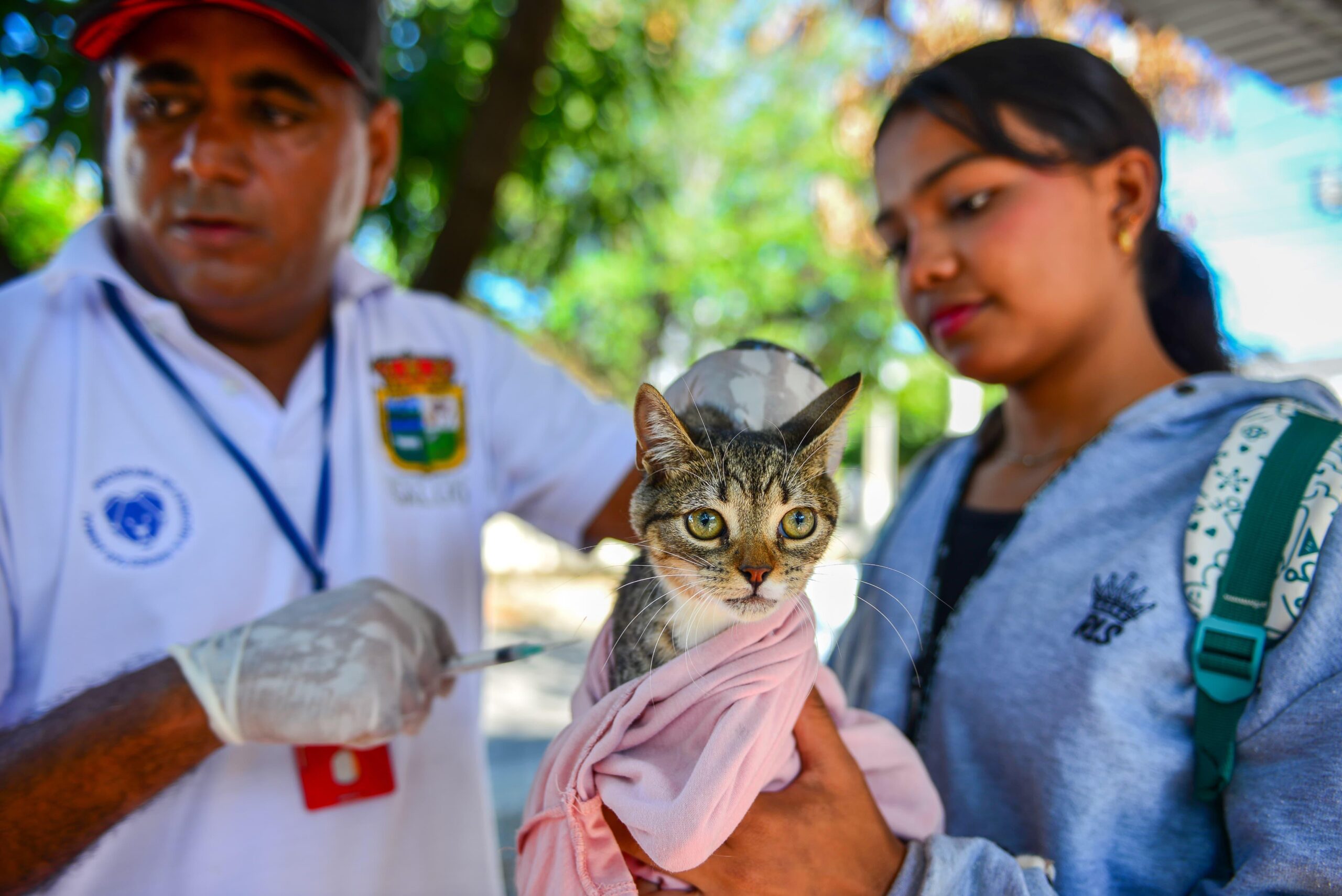 Más de 1.500 animales han sido beneficiados en jornadas de vacunación antirrábica en Valledupar
