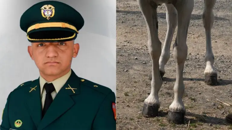 Atentado con “mula bomba” del ELN deja un militar muerto y dos heridos en Valdivia, Antioquia