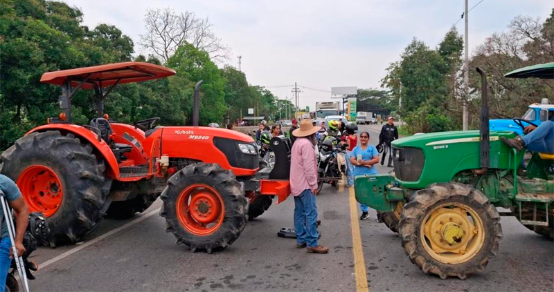 Arroceros marcharán en Valledupar: exigen precios justos y atención del Gobierno Nacional