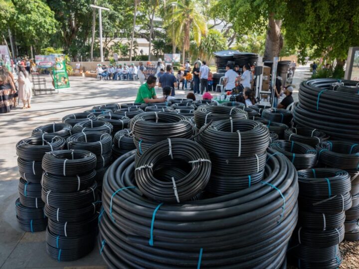 Gobernación del Cesar entrega insumos agropecuarios por más de $800 millones a productores rurales