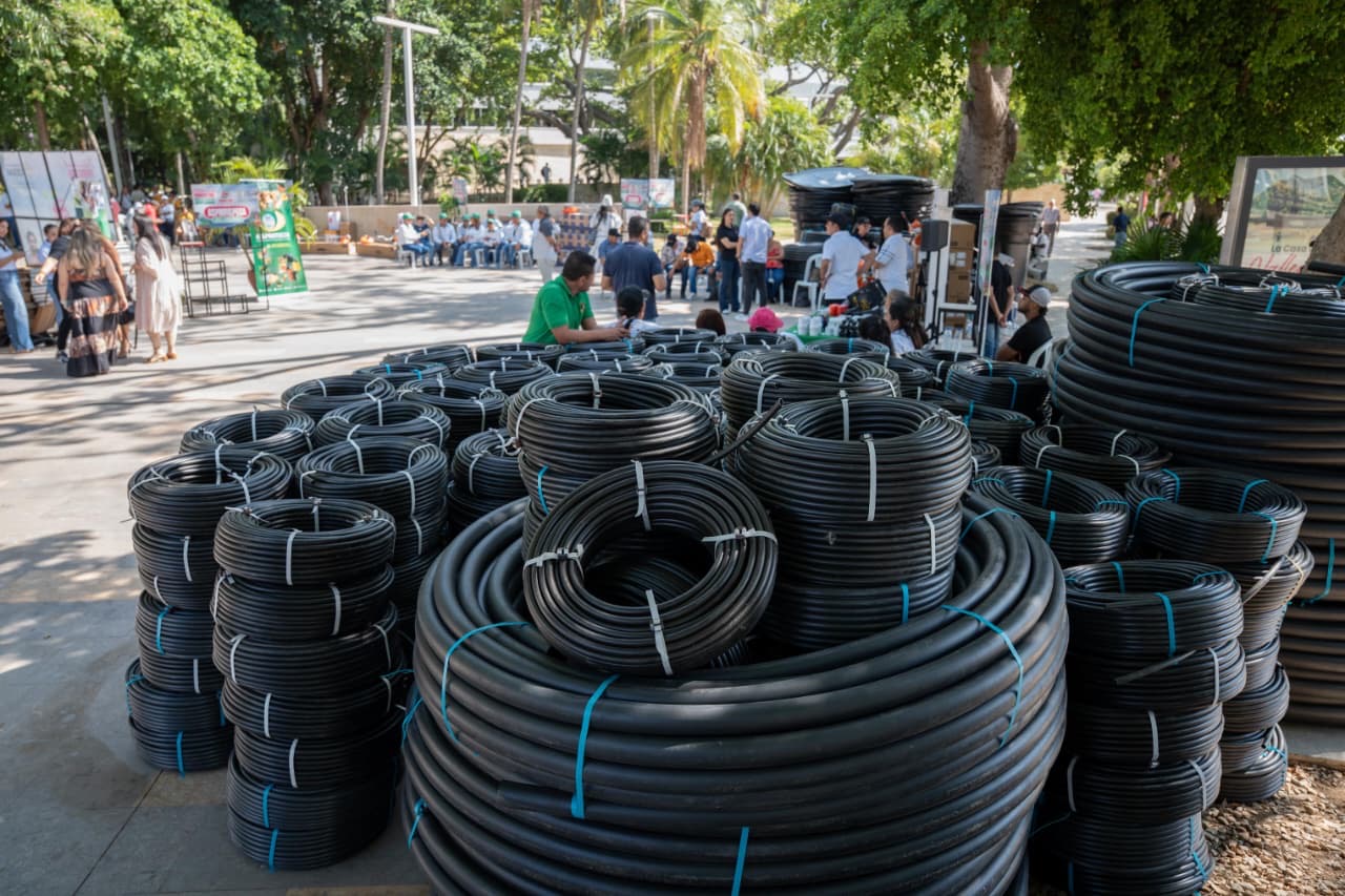 Gobernación del Cesar entrega insumos agropecuarios por más de $800 millones a productores rurales