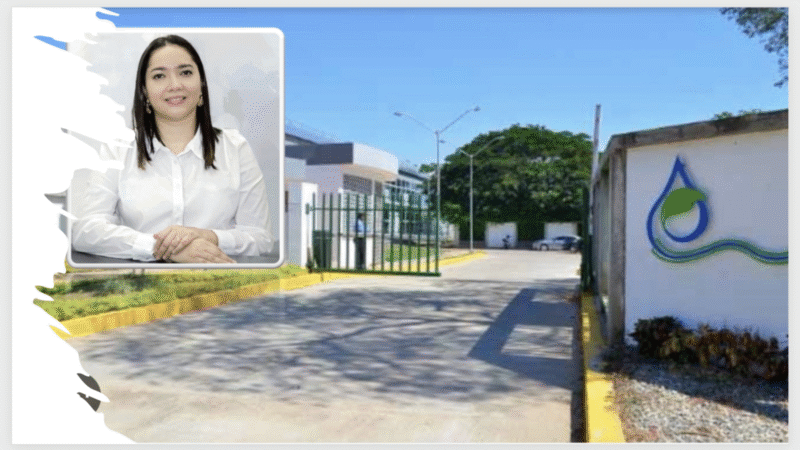 Consejo de Estado anula elección de directora de CORPOCESAR por irregularidades en el proceso