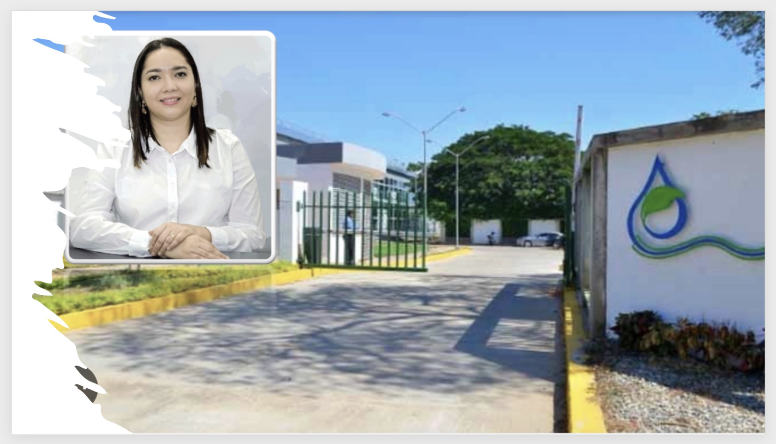 Consejo de Estado anula elección de directora de CORPOCESAR por irregularidades en el proceso