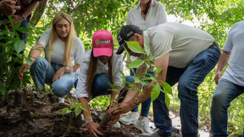 Gobierno del Cesar invierte más de $1.600 millones en programa ambiental que beneficiará a 26 familias en Manaure